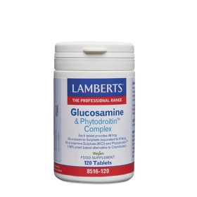 Lamberts Glucosamine & Phytodroitin Complex 120 Ταμπλέτες (8516-120)