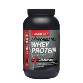 Lamberts Performance Whey Protein με Γεύση Σοκολάτα 1000gr 7003-1000
