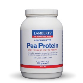 Lamberts Concentrated Pea Protein Powder 750gr 8333-750