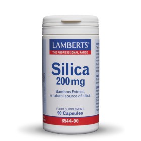 Lamberts Silica Φόρμουλα για Δέρμα Μαλλιά & Νύχια 90 Κάψουλες 8544-90