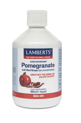Lamberts Pomegranate Concentrate Συμπλήρωμα Για Την Ενίσχυση Του Ανοσοποιητικού 500ml 8604-500