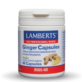 Lamberts Ginger Capsules 60 Κάψουλες 8565-60