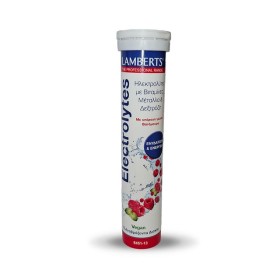 Lamberts Electrolytes με Γεύση Βατόμουρο 13 Αναβράζοντα Δισκία 8451-13