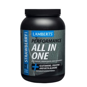 Lamberts Performance All In One με Γεύση Φράουλα 1450g 7025-1450