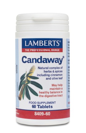 Lamberts Candaway 60 tabs 8409-60