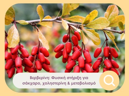 Βερβερίνη: Μύθος ή Αλήθεια;