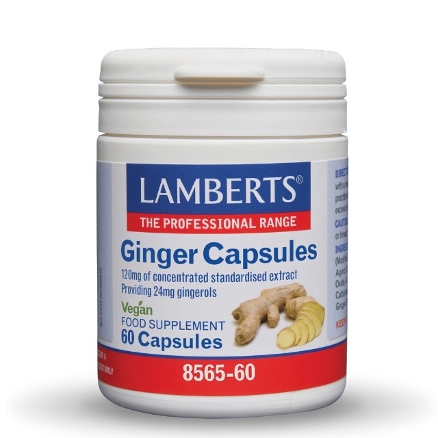 Lamberts Ginger Capsules 60 Κάψουλες 8565-60